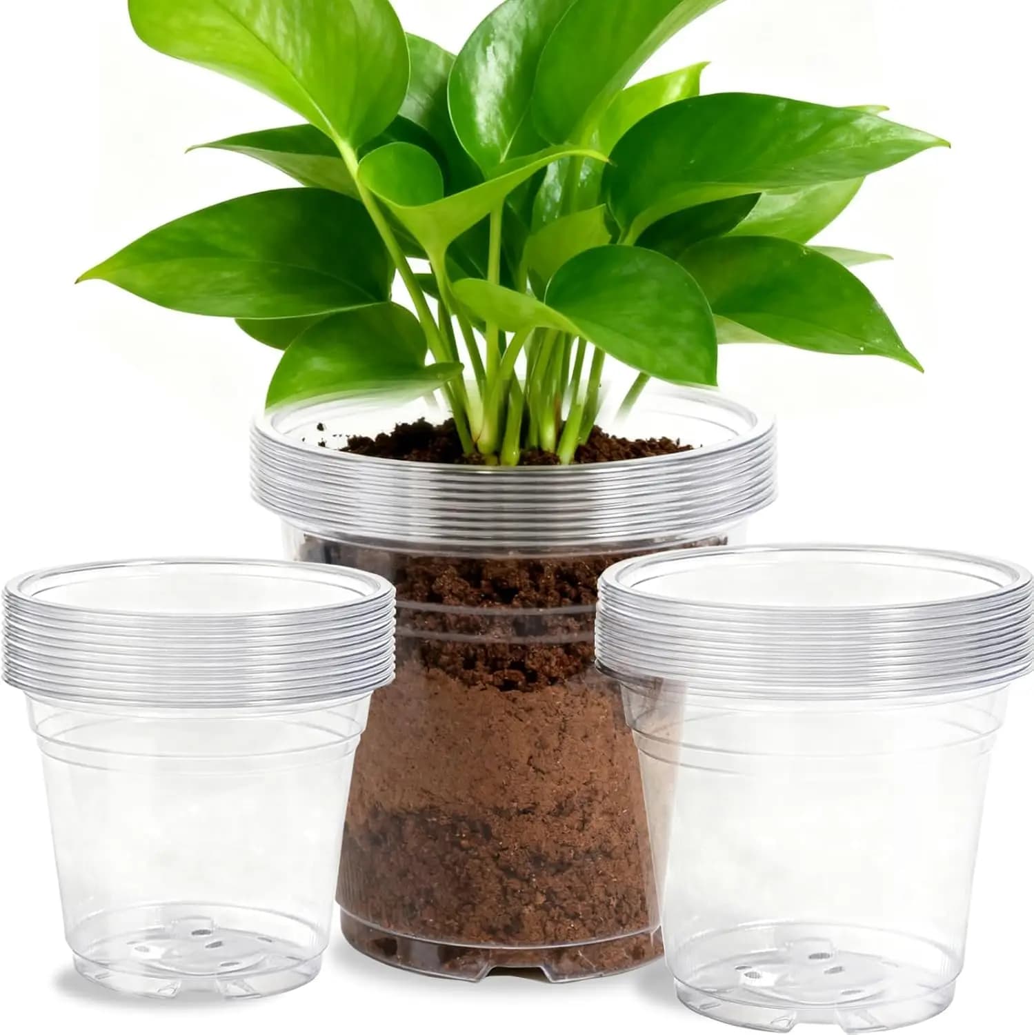 Set di 45 Vasi Trasparenti per Piante da Vivaio 7/8/10 Pollici con Fori di Drenaggio, Vasi in Plastica Grandi e Alti per Piante e Semenzali da Interno ed Esterno