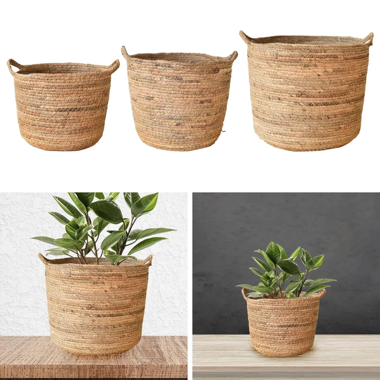 Basket for Plants, Decorative Vase, White Room, Picnic Plant Container, Balcony, Lawn, Living Room, Bedroom