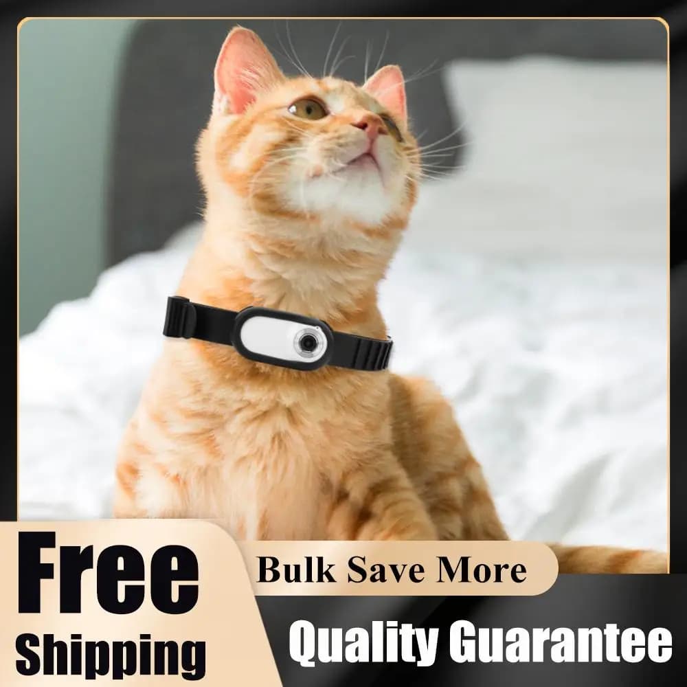 Telecamera Wireless HD 1080P per Collare di Cani e Gatti, Registrazione Video con Scheda 32G, Regalo di Compleanno per Animali Domestici