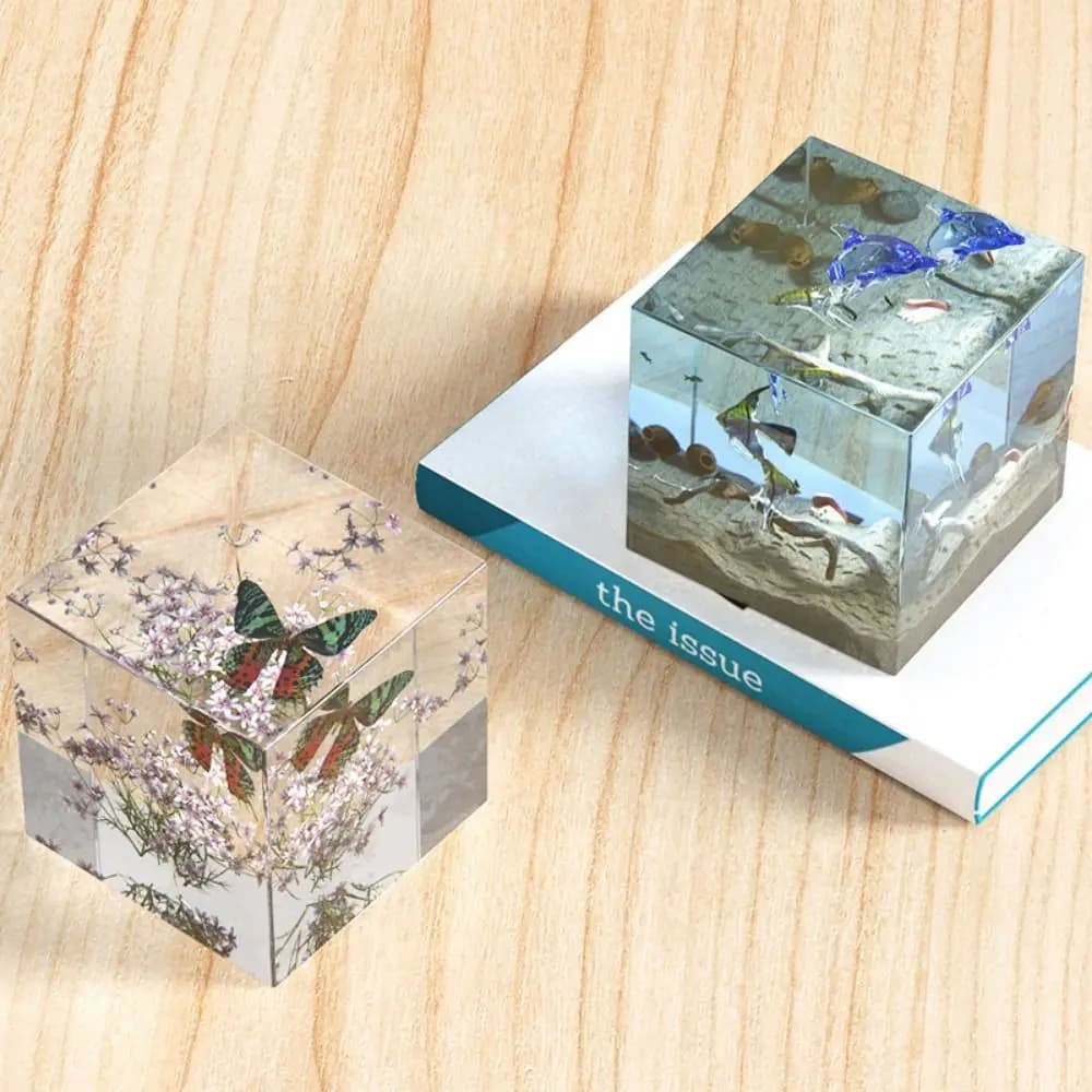 Nuovi stampi in silicone rettangolari Stampi per cubetti cubici in resina epossidica fai-da-te Colata profonda Esemplari di insetti 3D Regalo di nozze