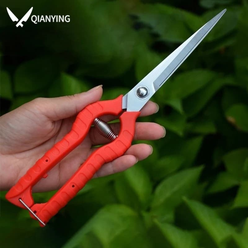 Forbici da giardino Forbici per frutta in acciaio inossidabile Forbici per uva Attrezzi da giardino professionali Forbici per fiori con patch per verdure