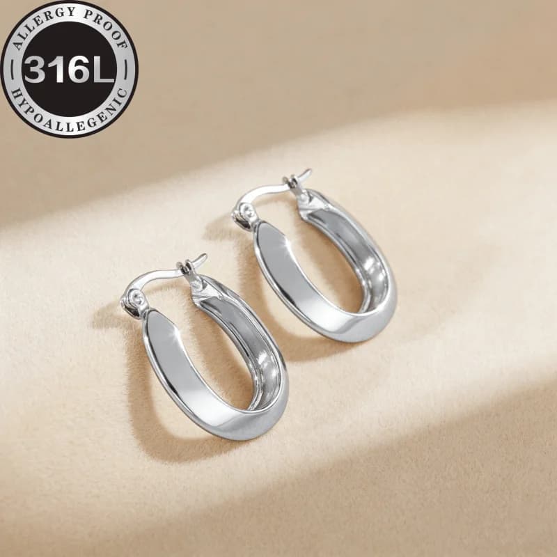Orecchini in acciaio inossidabile 316L anallergici, classici anelli piatti, design di nicchia di lusso discreto