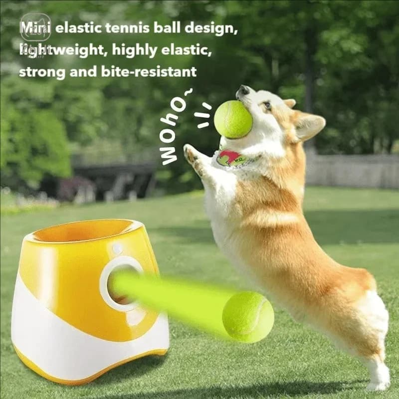 Interactive Automatic Pet Throw Retrieval Jump Ball Dog Catapult Ball Launcher Toy Bulldog Toy Tennis Machine Retrieval Training