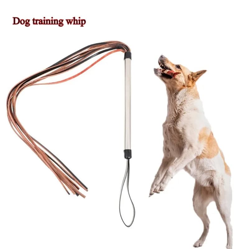 Frusta per addestramento per animali domestici, materiale flessibile, guida per l'obbedienza del cane, artefatto leggero per addestramento degli animali domestici per cani di piccola e media taglia