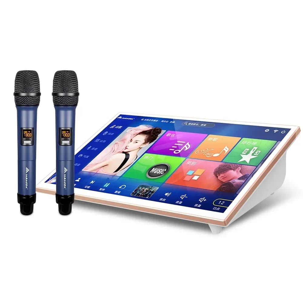 Sistema Karaoke Platinum con WIFI, Jukebox per cantare, Lettore Video Karaoke da 19 pollici, Macchina Karaoke Portatile per KTV Domestico