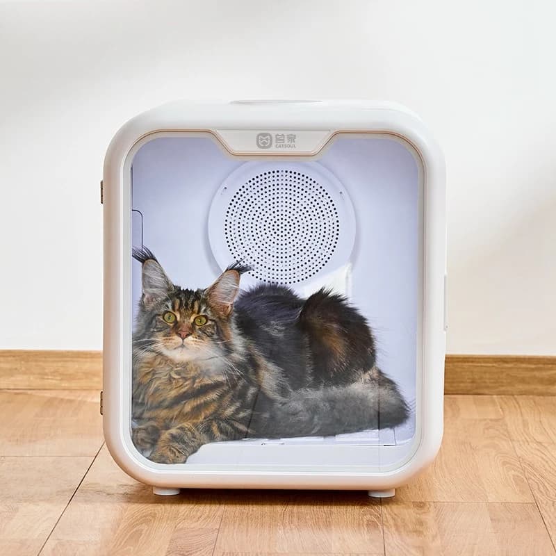 Asciugatrice intelligente per animali domestici, box asciugante automatico per gatti, asciugacapelli silenzioso per cani di piccola taglia, per asciugatura dopo il bagno