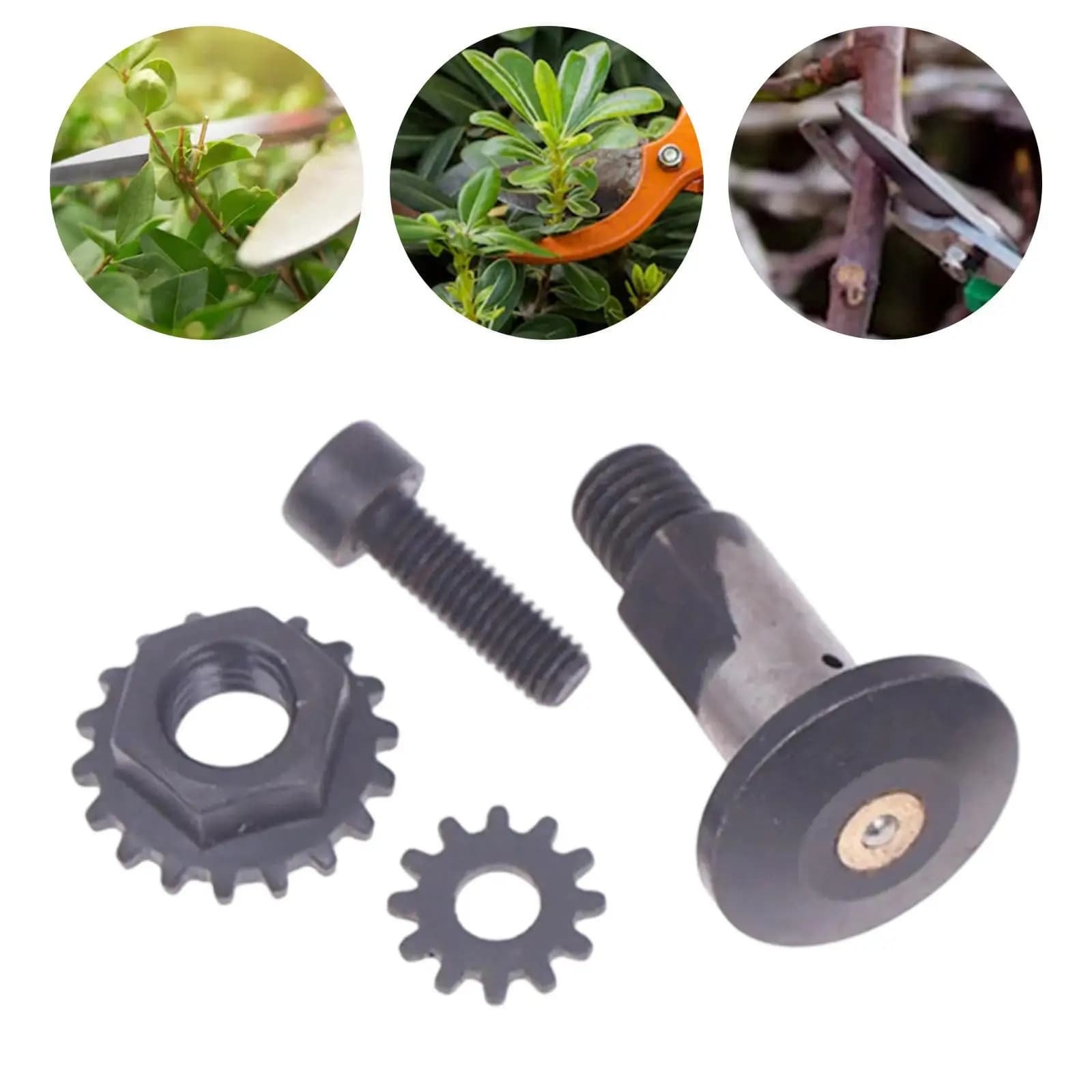 Screws for electric scissors for electric scissors