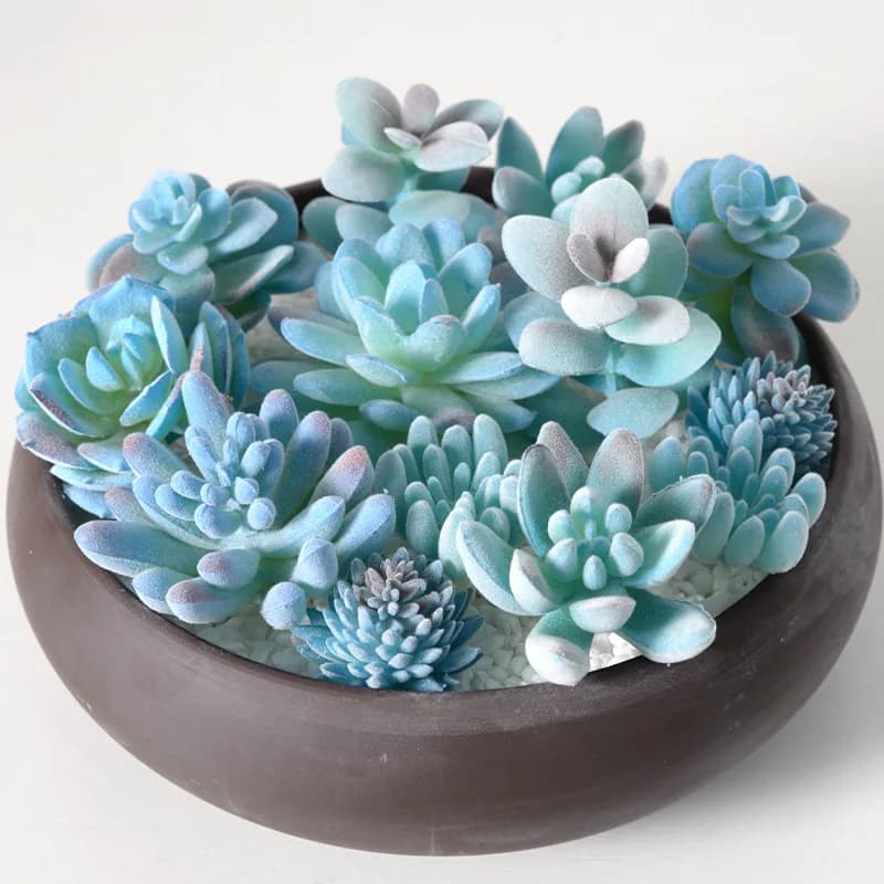 4 pieces blue flocking simulation plant fat green plant home decoration diy ornaments combination artificial artificial bonsai