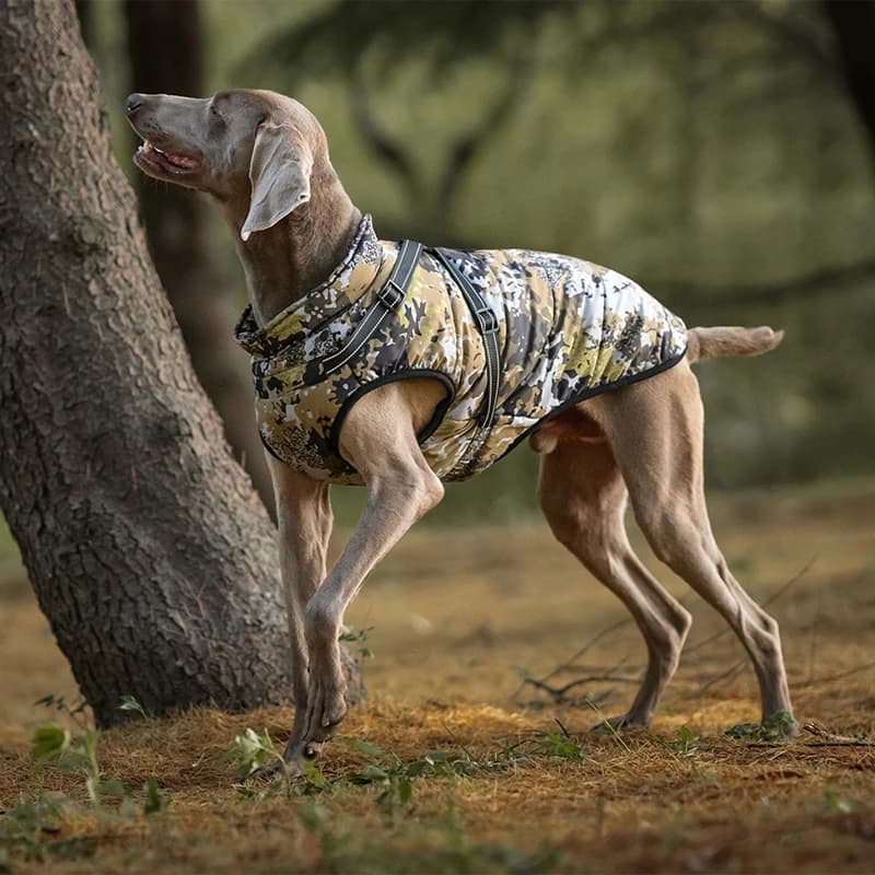 Giacca per cani calda impermeabile Gilet Abbigliamento invernale per cani con imbracatura Cappotto per cani da bulldog francese Costume per animali domestici per cani di piccola taglia Chihuahua