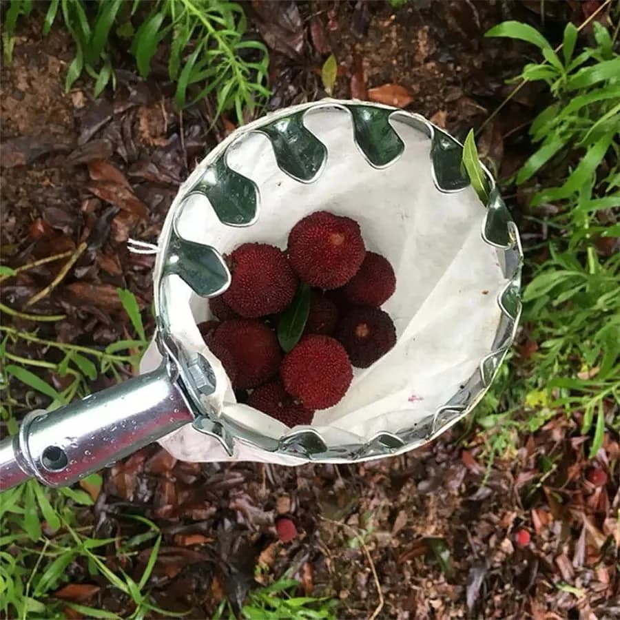 Set di Attrezzi 3-in-1 per la Raccolta della Frutta con Asta Telescopica e Borsa di Raccolta, Accessori per Giardinaggio