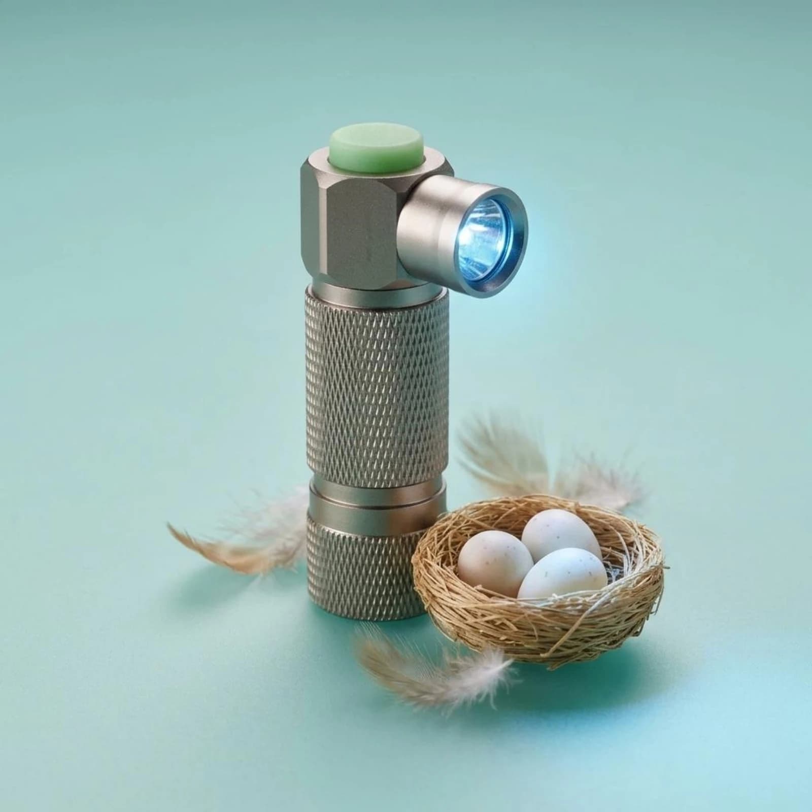 Torcia ad Angolo Retto E-GG Candler LED, Strumento Portatile per Ispezione E-GG, Attrezzatura per Allevamento, Leggera e Facile da Usare