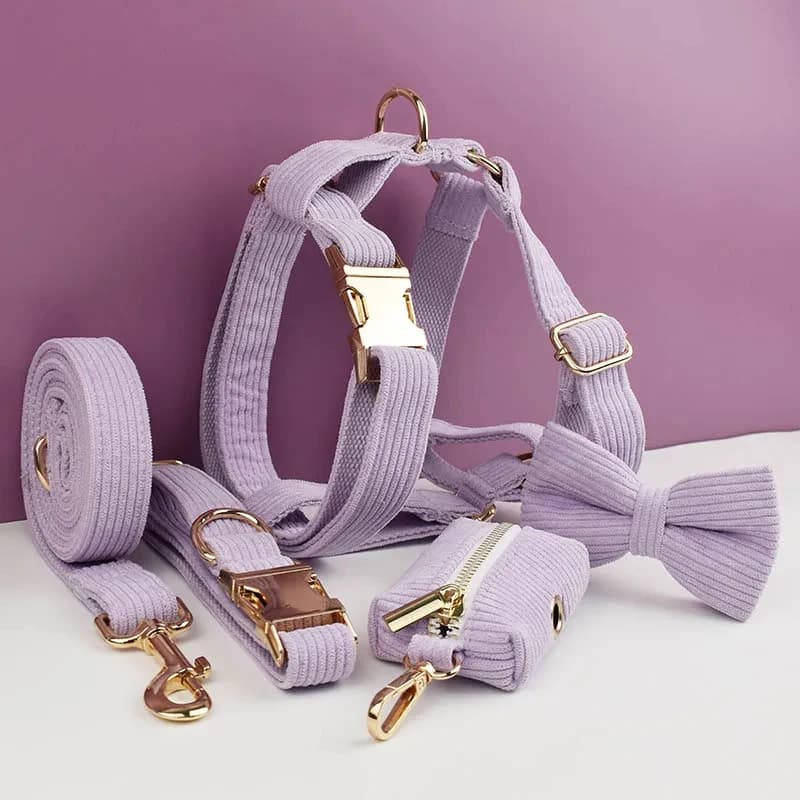 Set Personalizzato di Collare, Guinzaglio e Pettorina in Corduroy per Cani, con Targhetta Incisa e Chiusura Rapida per Cani Piccoli e Grandi