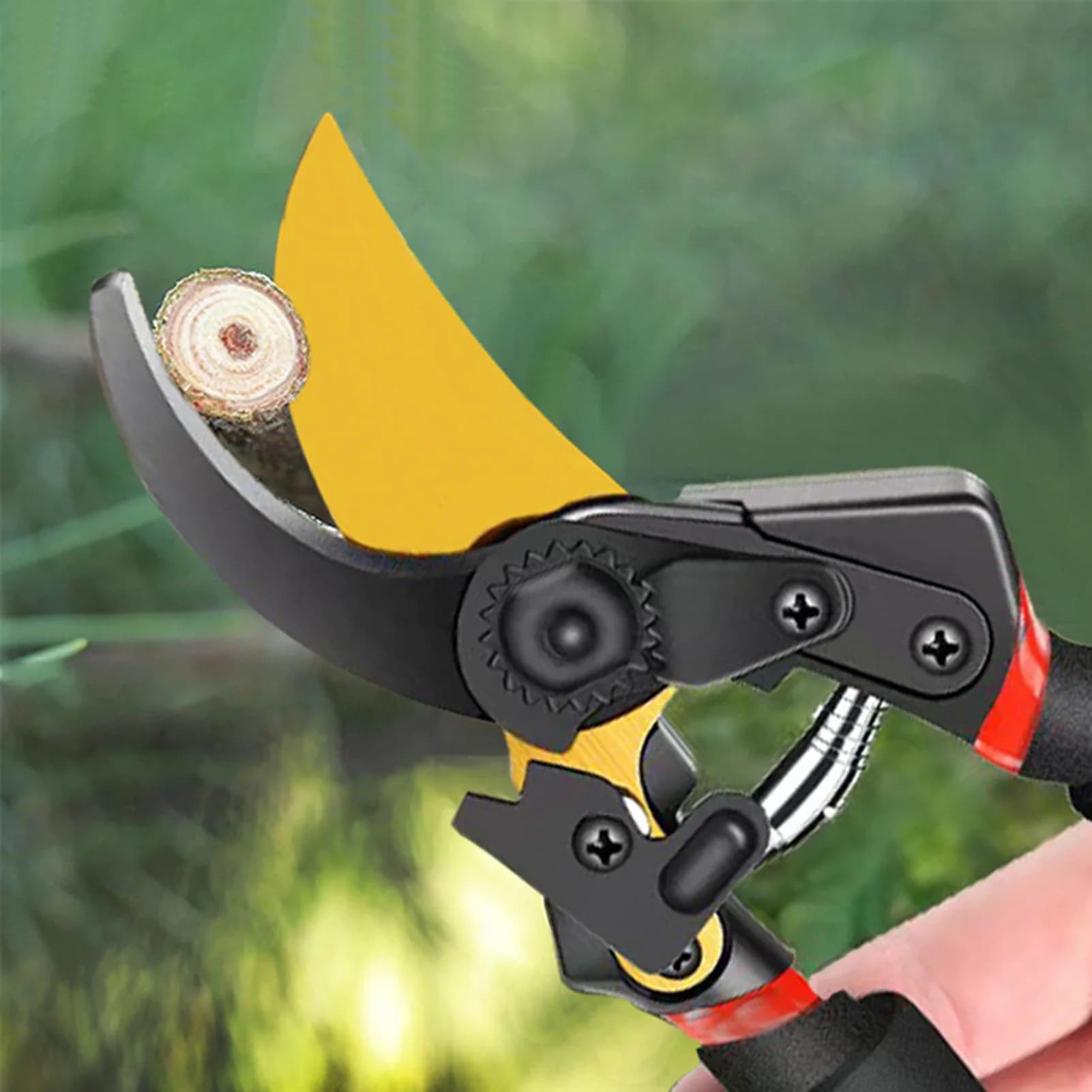 Forbici Professionali da Giardino, Sega per Potatura, Raccoglitore di Cocco e Frutta per Giardinaggio all'Aperto