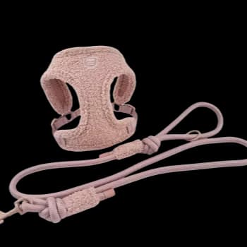 Dog Harness Adjustable Dog Lead Padded Handle Dog Collar and Leash Set Pet Nylon Lead and Harness for All Set