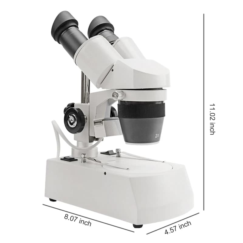 Microscopio Stereo Professionale da Laboratorio con Testa Girevole a 360 Gradi, Ingrandimento 20X-40X 120X per Esperimenti Scientifici