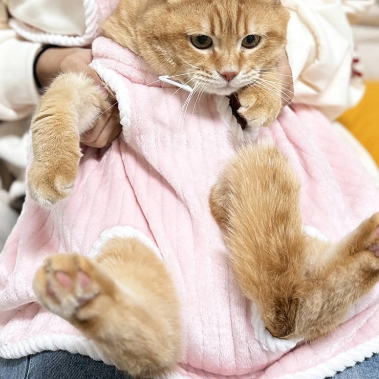 Grembiule Porta Gatto Morbido e Confortevole, Marsupio per Animali Domestici, Borsa per Trasporto Gatti con Aperture Regolabili, Materiale Delicato sulla Pelle