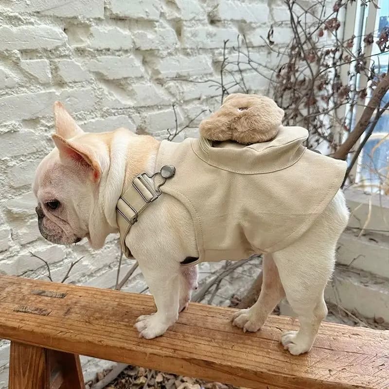 Giacca per Cani - Gilet Elegante per Maschi, Costume Estivo per Animali Domestici, Imbracatura Comoda per Passeggiate all'Aperto, Perfetto per Gatti e Cuccioli