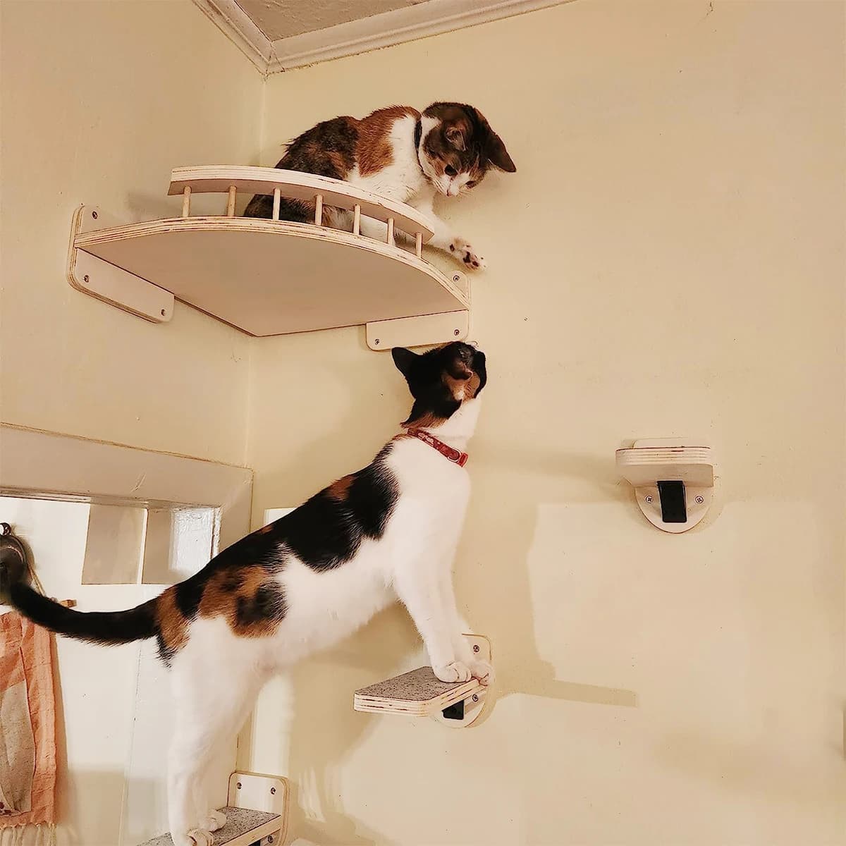 Mensola angolare per gatti con set di 3 gradini, posatoi per letti per gatti montati a parete, amaca per dormire, arrampicata, graffi, mobili in legno per animali domestici