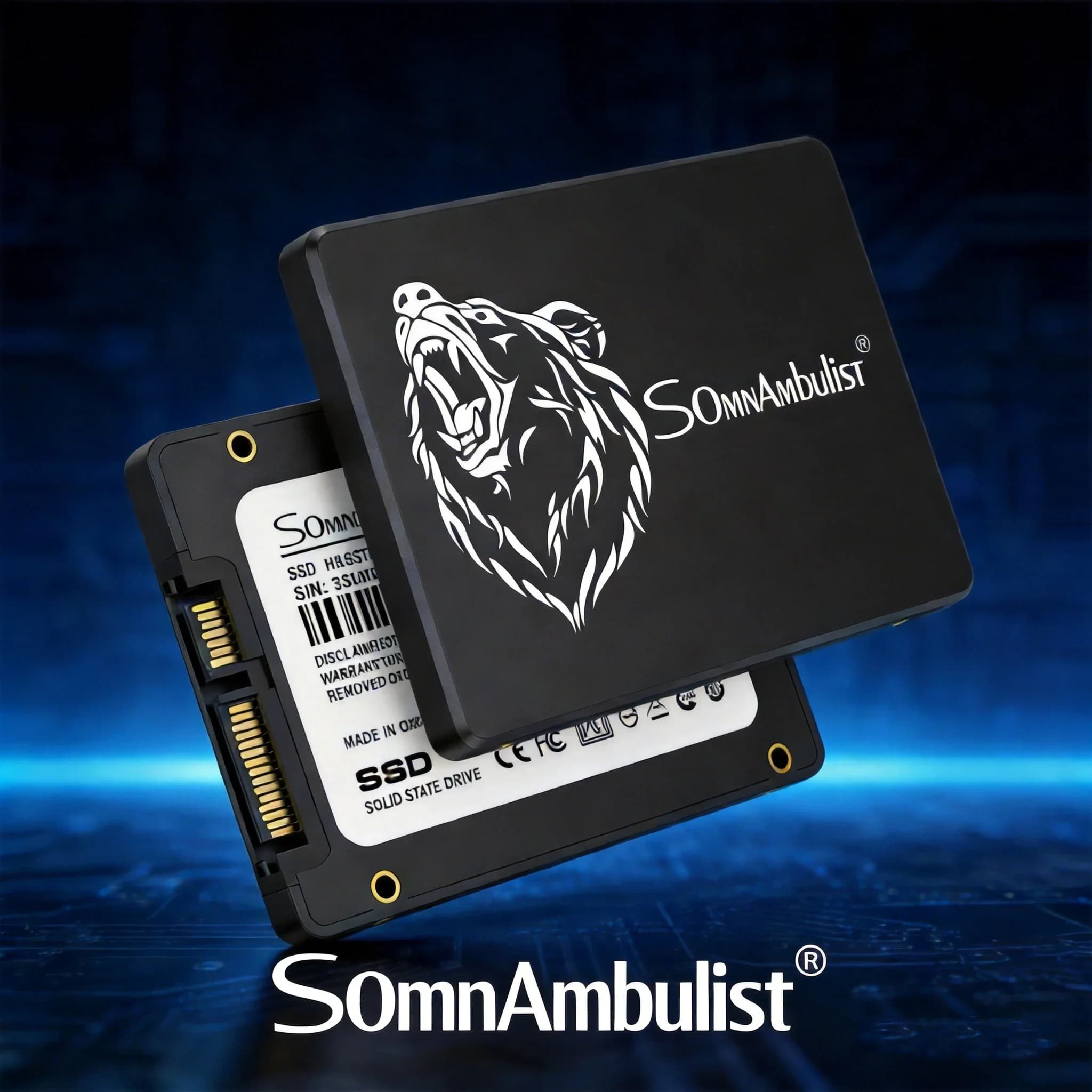 SomnAmbulist 2.5 SATA3 SSD Solid State Drive 128GB 240GB 480GB 512GB 960GB 1TB 2TB Internal High Speed for Desktop PC Laptop