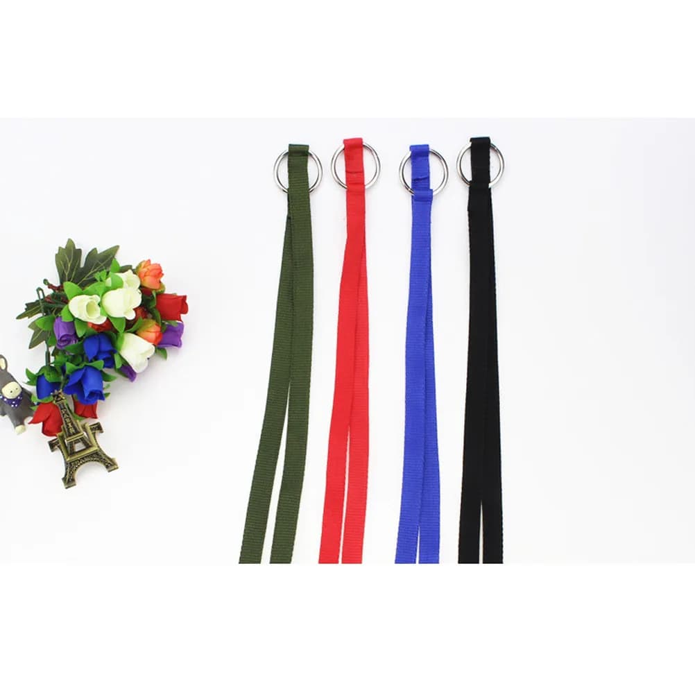 Double Dog Leash Nylon Heavy Duty Dual Clip Walking Traction Rope for Small Pets Control Outdoor Running Army Green