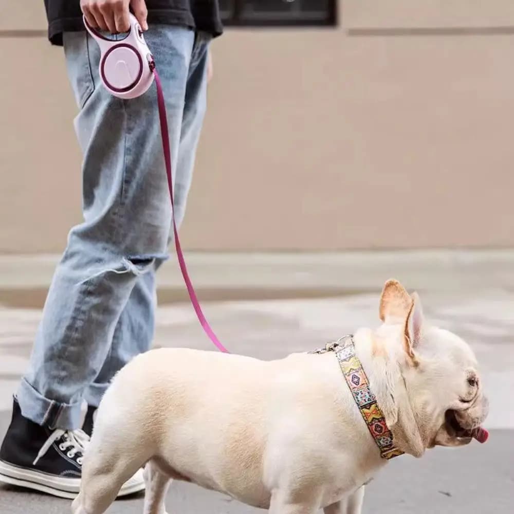 Guinzaglio per cani da compagnia resistente all'usura Guinzaglio per cani retrattile estensibile automatico regolabile Guinzaglio per cani automatico anti-morso