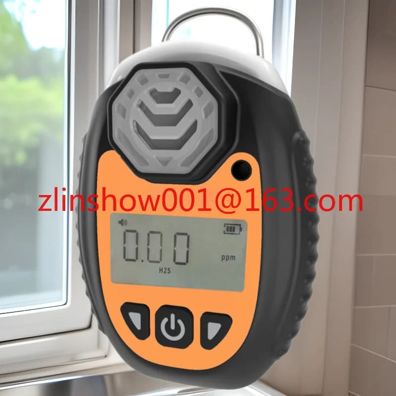 Rilevatore portatile di monossido di carbonio NGP40-104K1-CO Allarme gas - Basso consumo energetico - Vendite dirette in fabbrica