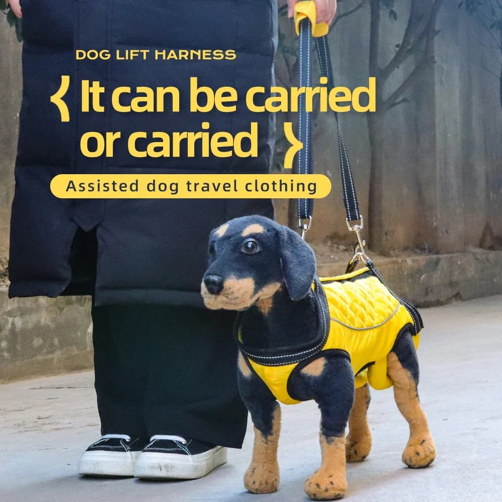 Imbracatura toracica per la riabilitazione di cani disabili, supporto per gambe con strisce riflettenti, abito elasticizzato per la riabilitazione