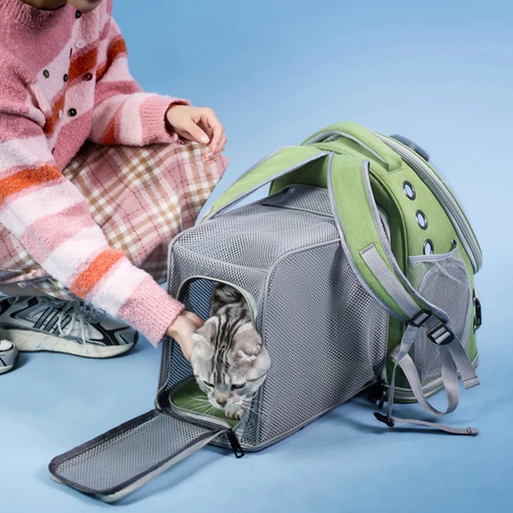 Borse da trasporto per gatti di grandi dimensioni multifunzione Zaini leggeri e traspiranti per cani Gatti Trasporto aereo da viaggio in uscita