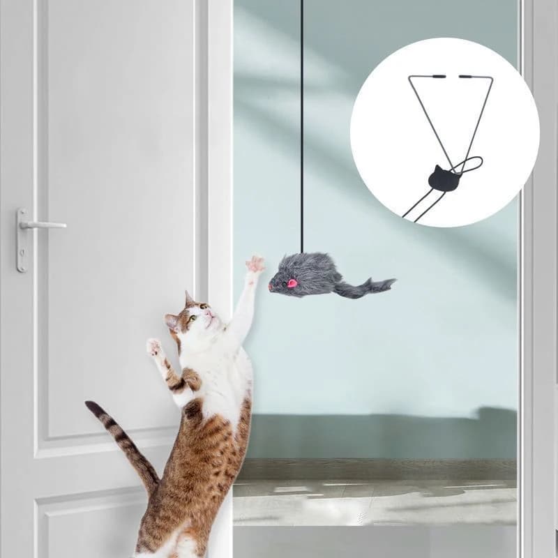 The new cat toy to hang on the door, relieves stress, toy to hang on life for the kitten hanging on the living room
