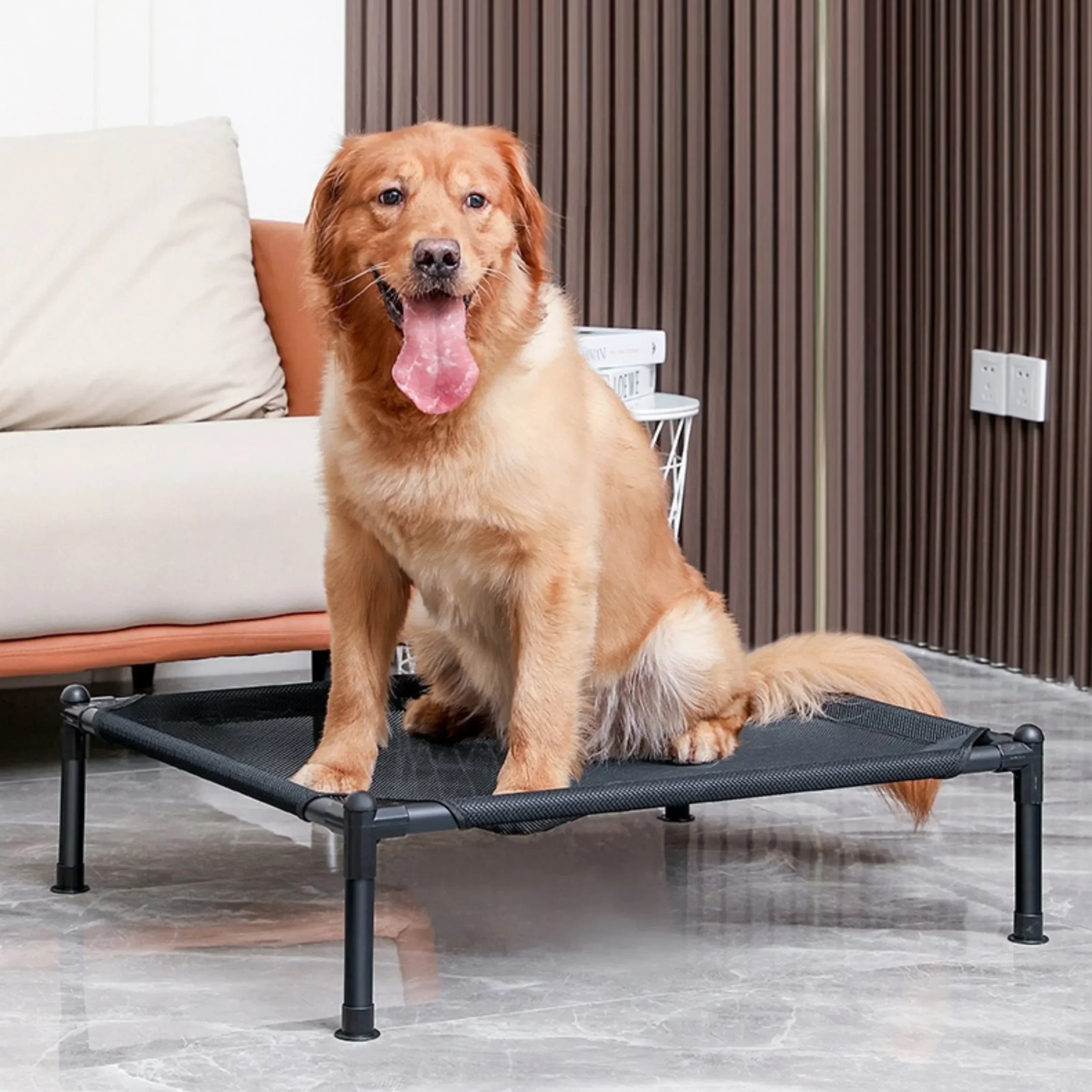 Letto per animali elevato Cane Gatto Pieghevole Letto da campeggio per animali domestici Casa per cani per gatti Portatile rimovibile lavabile Cuccia per gatti quattro stagioni Letti per cuccioli