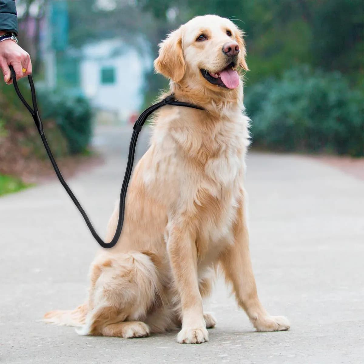 150Cm Premium Adjustable Nylon Dog Leash for Large Medium Small Breeds Training Walking Outdoor Control Traction Rope Dog Leash
