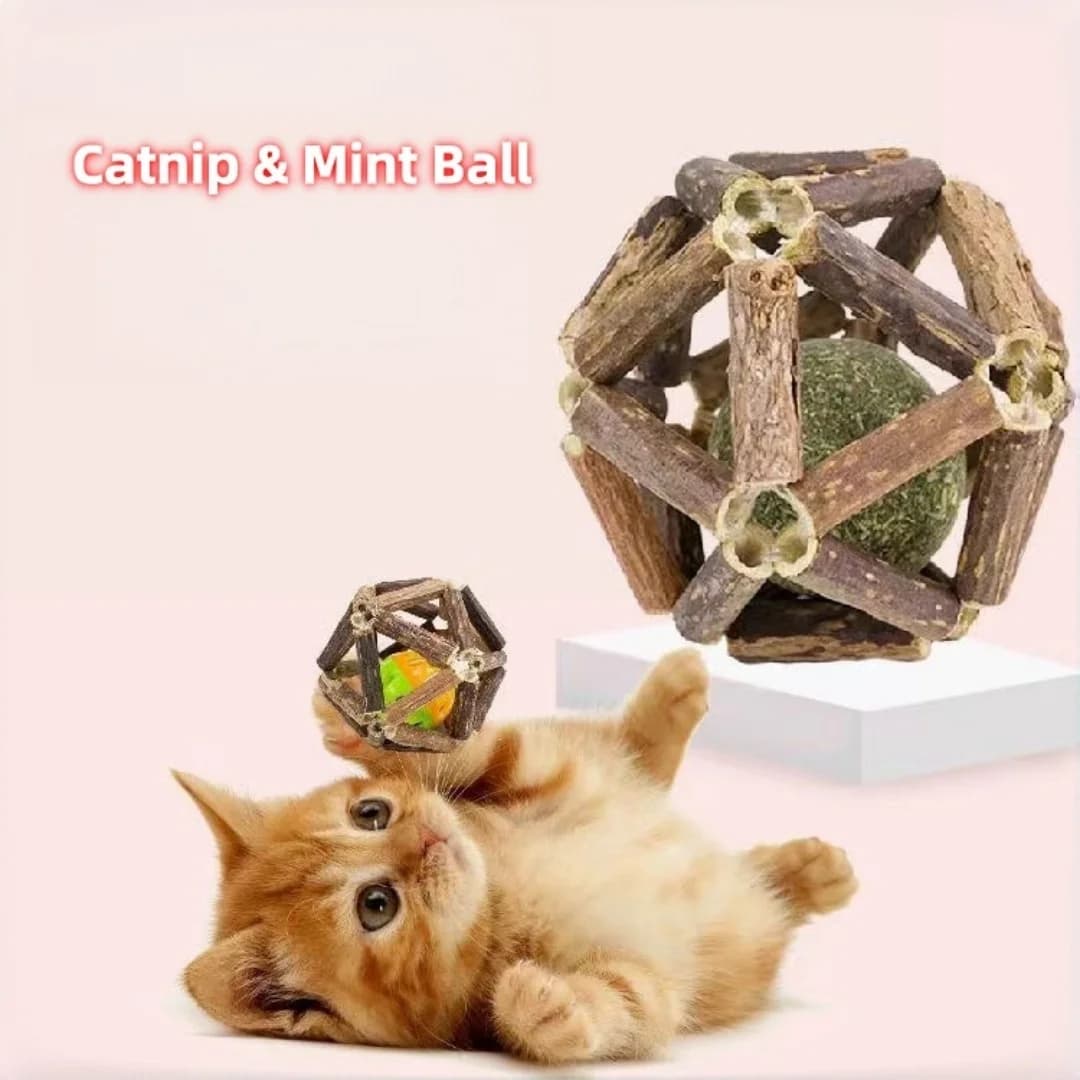 Erba gatta Silvervine Piuma Galls Giocattoli in rafia per gatti, bastoncino da dentizione Giocattoli da masticare Giocattolo interattivo con bacchetta magica per gatti