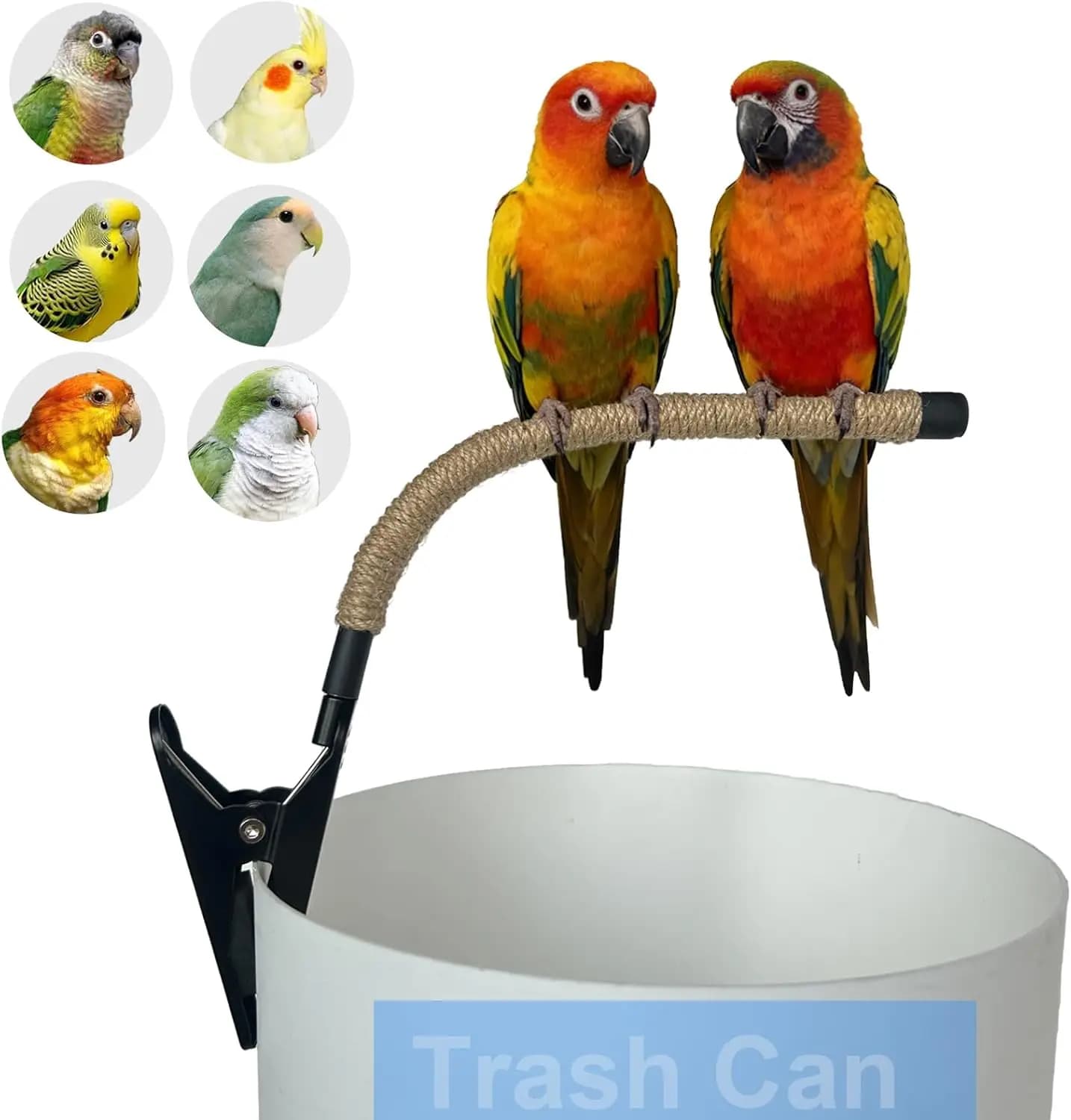 Supporto persico per uccelli per pattumiera, supporto per pappagalli regolabile e portatile, pesce persico pieghevole per addestramento di uccelli per calopsitte Conures Lovebird