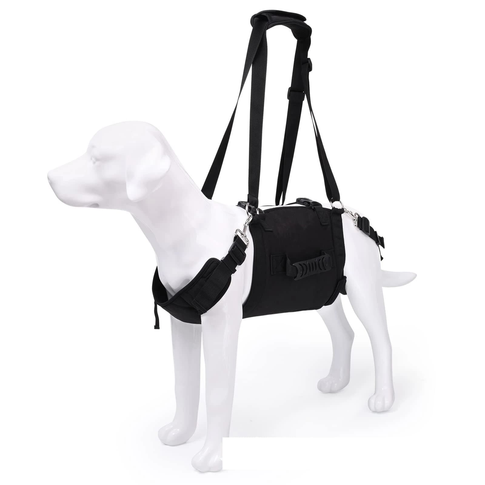 Pet Supplies Dog Straps Dog Straps Dog Walking Assistance Straps Popular Pet Auxiliary Straps Traction Rope Straps