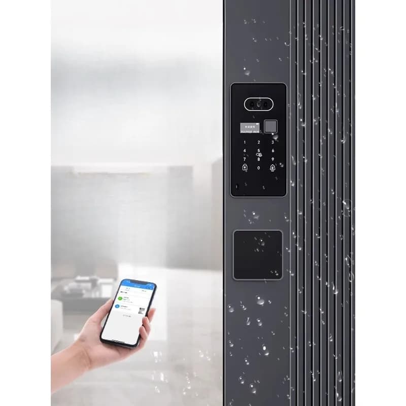 Serratura intelligente automatica incorporata ultrasottile, serratura con password per porta d'ingresso, doppia porta della villa