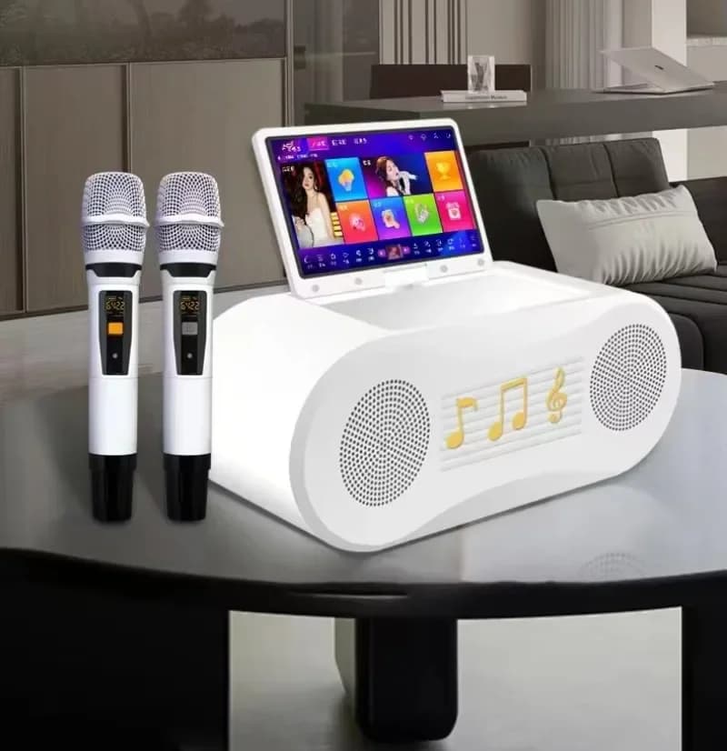 Portable Professional WiFi Karaoke Machine with Touch Screen KTV Partybox System 2 Wireless Metal Microphones for Family Parties