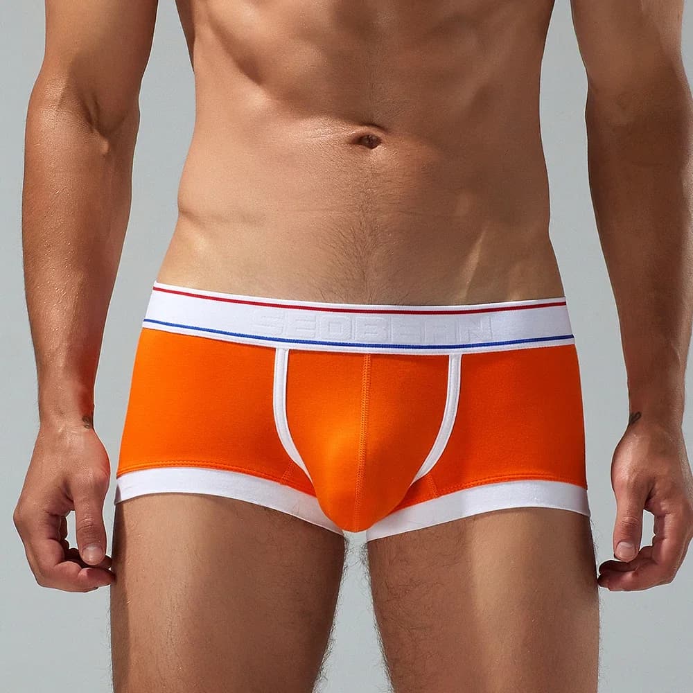 Seobean Men's Cotton Underwear 2026 New Design Comfortable Breathable Briefs Boxer Shorts for Men