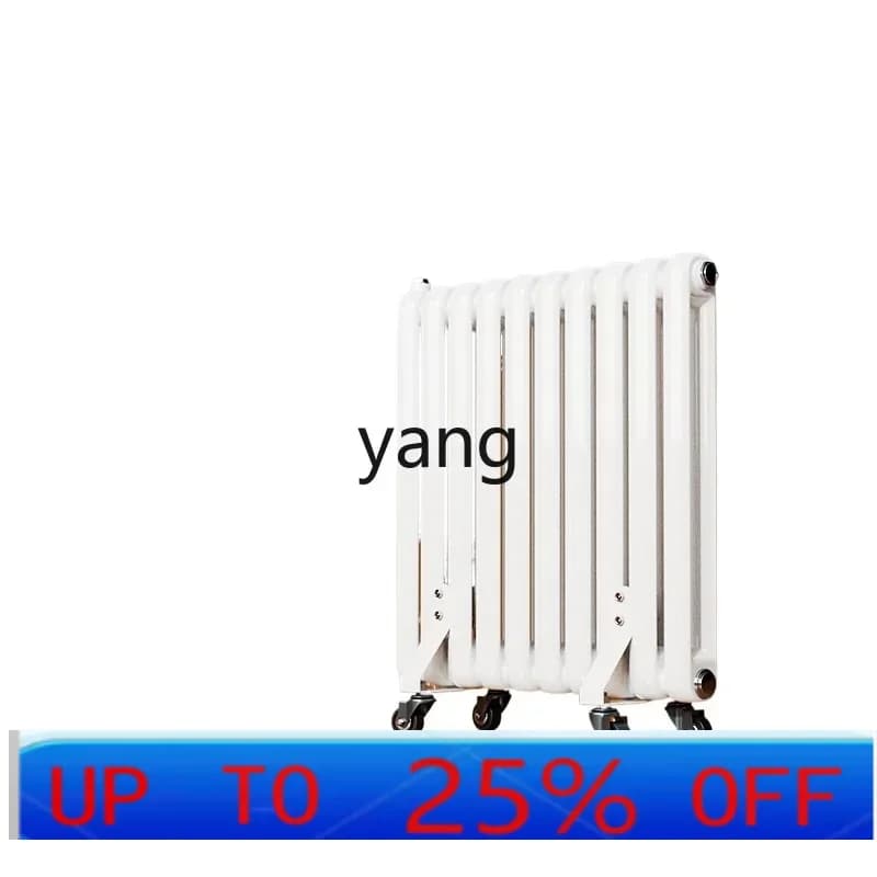 CX Domestic Electric Heater with Intelligent Water Filling and Plug-in Function