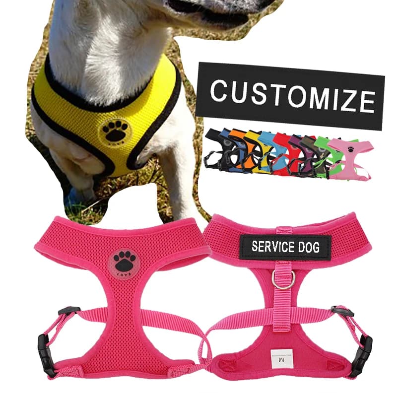 Imbracatura per cani personalizzata etichetta con nome personalizzato etichetta in rete di Nylon con gancio per targhetta per gatto Patch di controllo traspirante cinghia toracica per animali domestici