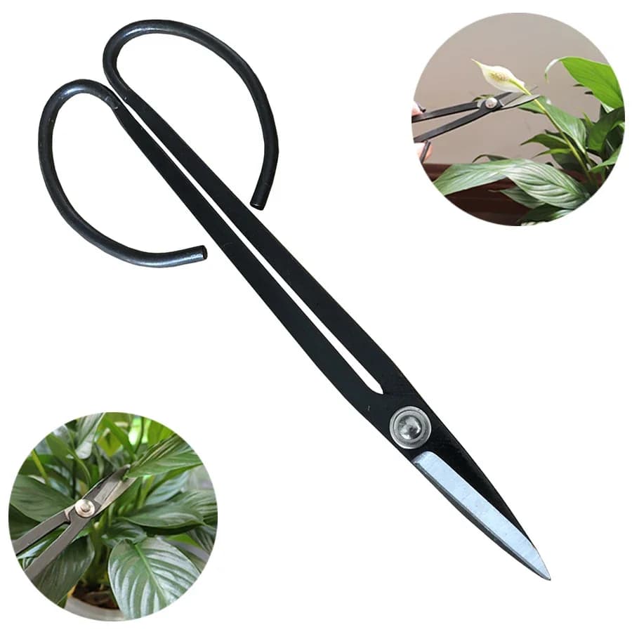 Professional bonsai scissors in steel with long handle Shears for plant branches Gardening Pots for bonsai Flowers Plant graft tool