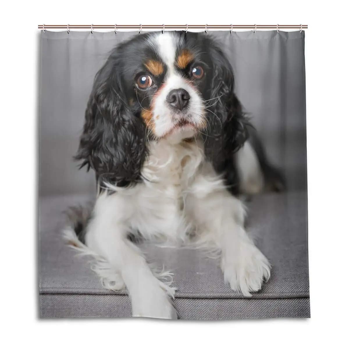 Cavalier King Charles Spaniel Dogs Tenda da doccia Tessuto in poliestere impermeabile Tende da doccia per bagno Decorazioni per il bagno con ganci