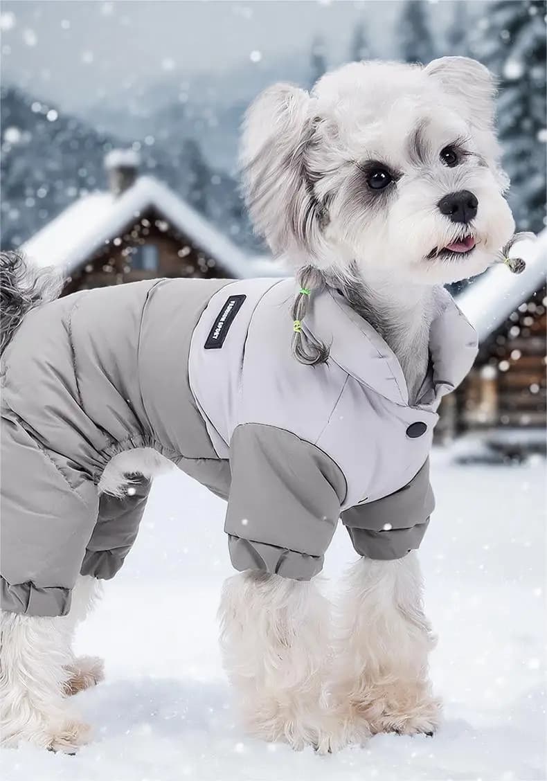 body invernale per cani isolato pigiama a quattro righe cappotto invernale per cani di piccola taglia media imbracatura per gilet da esterno resistente all'acqua