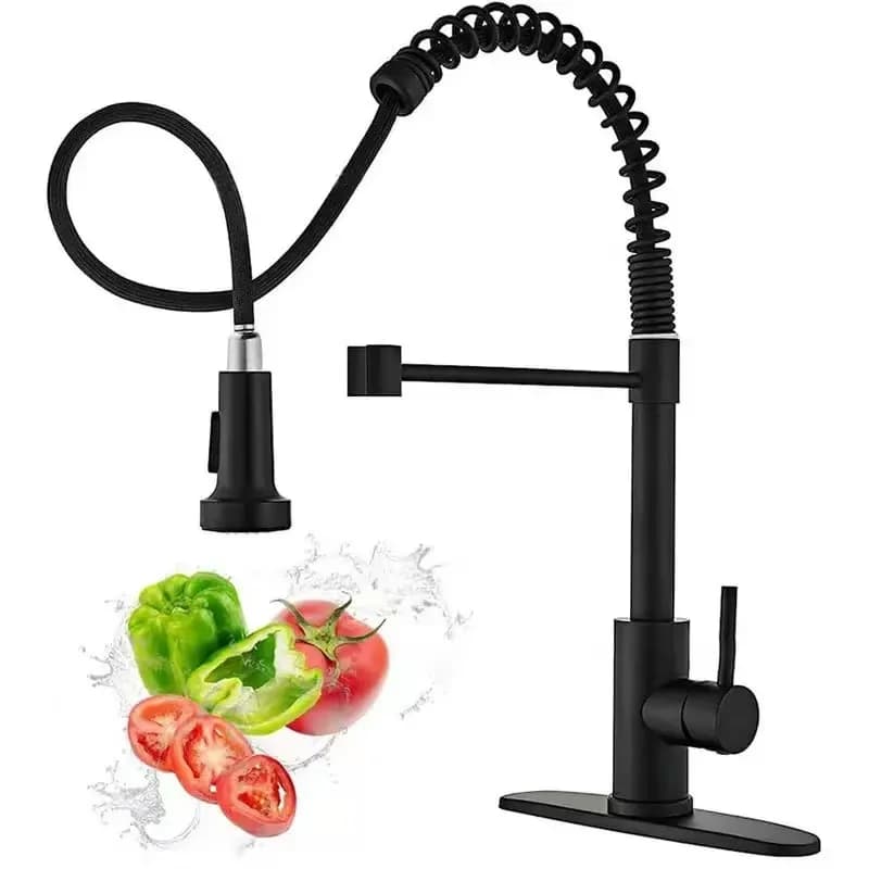 Rozin Rubinetto da cucina in nichel spazzolato Miscelatore da piano Rotazione a 360 gradi Ugello spruzzatore a flusso Lavello da cucina Rubinetti caldi e freddi