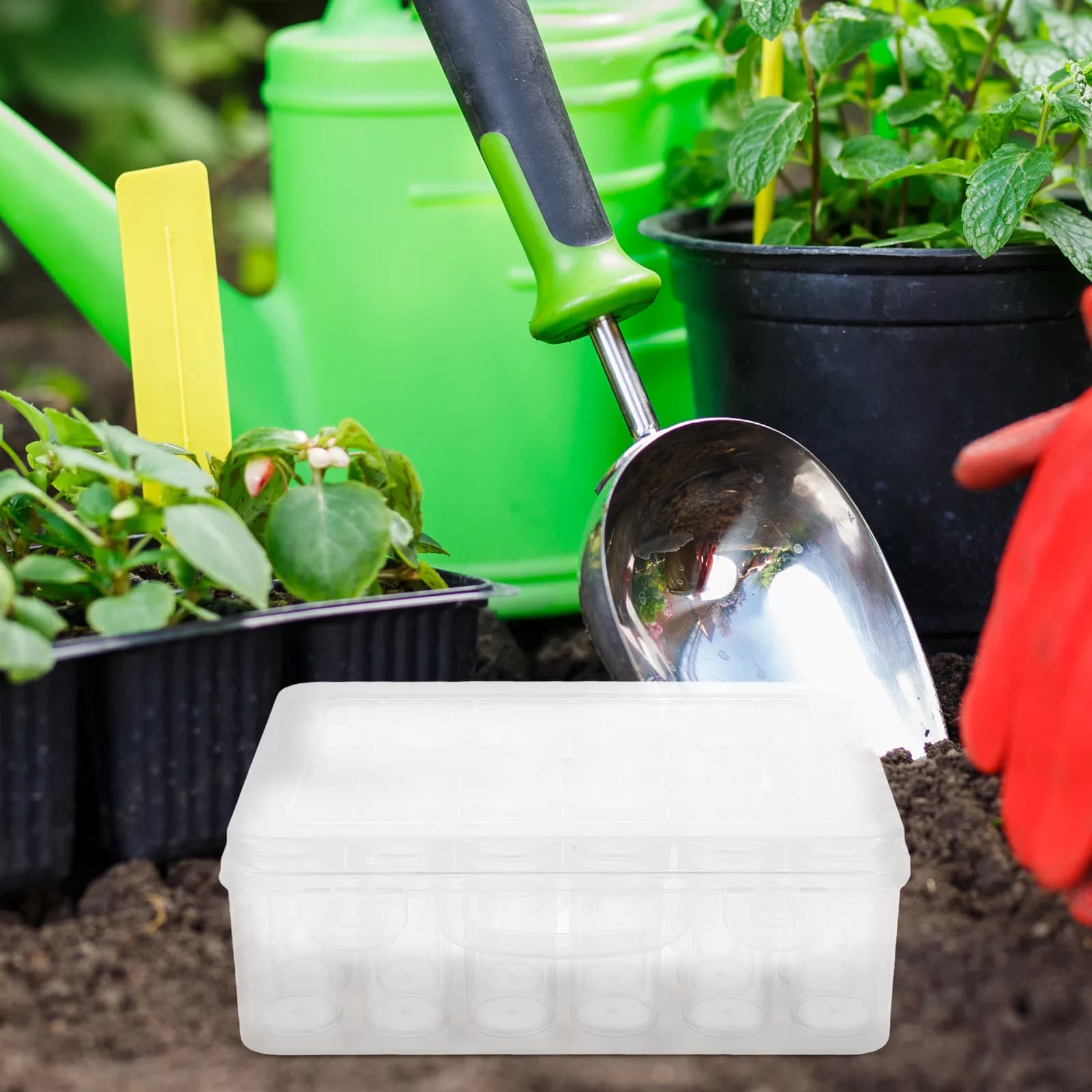 Scatola Organizzatrice per Semi in Plastica Trasparente con Scomparti, Materiale PP PS Resistente per Giardinaggio, Semenzaio, Fiori e Verdure