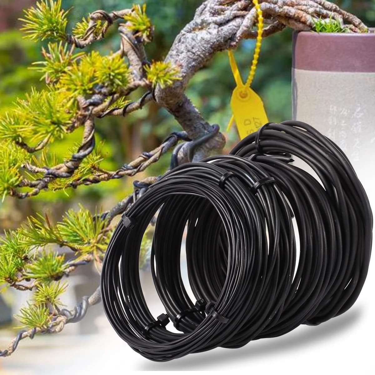 3m/5m/10m Nero Bonsai Filo di Alluminio Anodizzato Bonsai Legami di Formazione Pianta Supporto Rami Bend Corde di Fissaggio Accessori Da Giardino