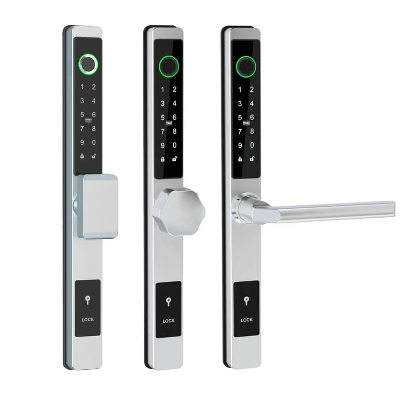 Porta scorrevole impermeabile TTlock Smart Lock Impronta digitale Combinazione digitale Scheda NFC Serratura elettronica in vetro di alluminio per esterni