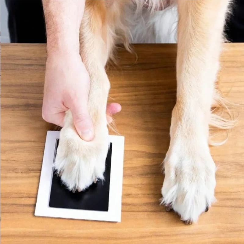 Kit di inchiostro per stampa zampa di cane gatto Impronte di bambino Doccia per neonato Impronta di mani Facile fai da te Tocco pulito Senza inchiostro Sicuro Non tossico Ricordo per animali domestici