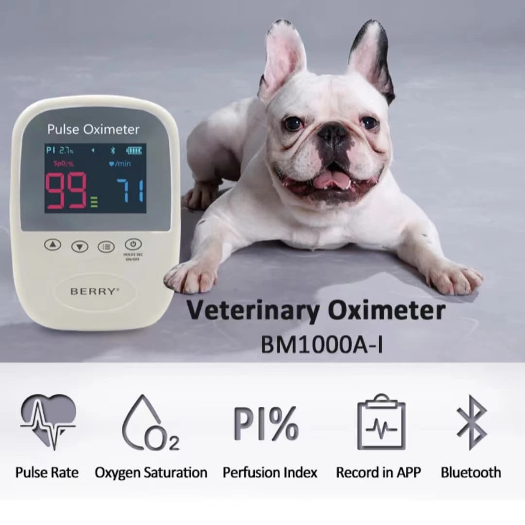 Small light Bluetooth pulse pulsometer available for home clinics Long-term and comfortable monitoring