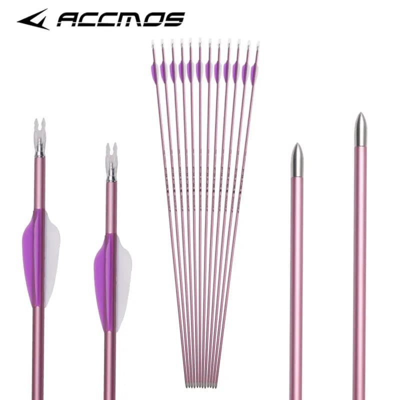 Aste per Frecce in Carbonio Rosa da Donna, Diametro Interno 4.2mm, Pre-assemblate per Tiro con l'Arco, Caccia, Adulti, Spine 500 600 700 800 900 1000, 12 Pezzi