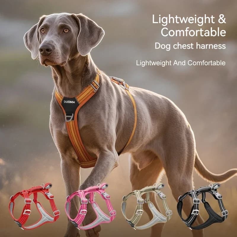 OUZEY Anti Pull Dog Harness Leash Set Reflective Wear Resistant Soft Outdoor Walking Pet Chest Strap Fashion Safety Pet Supplies